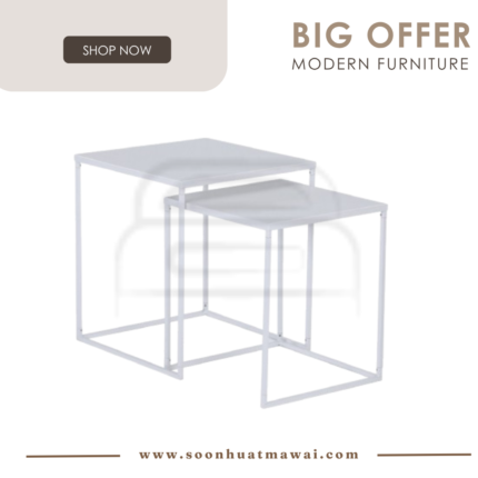 DARNELL NEST OF 2 COFFEE TABLE SET 801 (HINLIM)