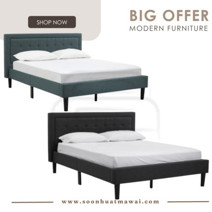 HAYDEN QUEEN BED WITH 1900MM SIDE RAIL BLACK/6365 / BLACK/6516 (HINLIM)