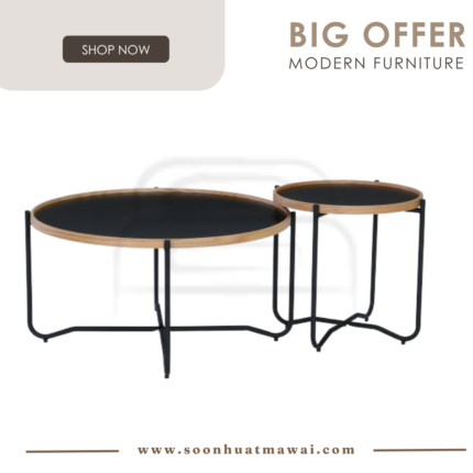 TANIX BIG / SMALL COFFEE TABLE 802/112/162 (P2 BOARD) (HINLIM)
