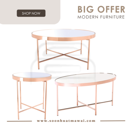 XANDER BIG / SMALL / OVAL COFFEE TABLE WITH MIRROR TOP 807 (HINLIM)