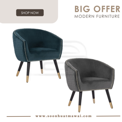 DENIZ LOUNGE CHAIR 114/808/3722 / 114/808/3721 (HINLIM)