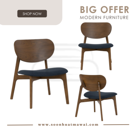 ALETA LOUNGE CHAIR 109/113/6367 (HINLIM)
