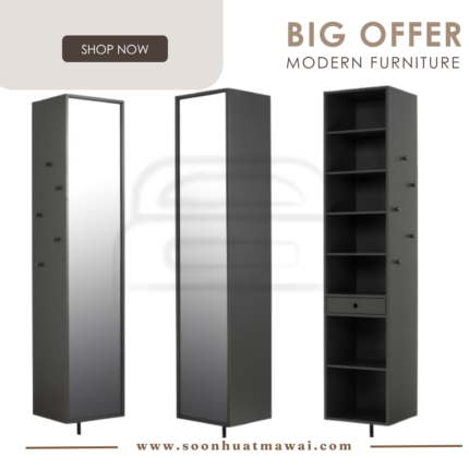 FELIPE SHOE CABINET WITH MIRROR 136 (HINLIM)
