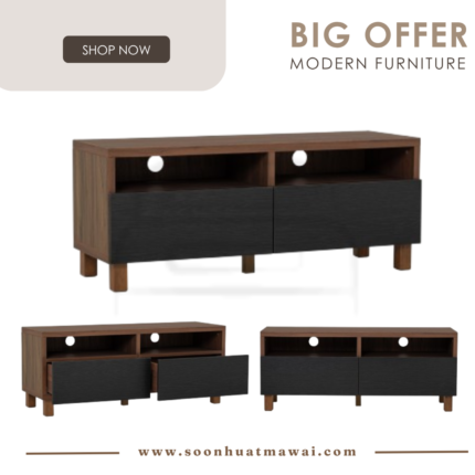 GORDY 1.18M TV CABINET 109/170/172 (HINLIM)