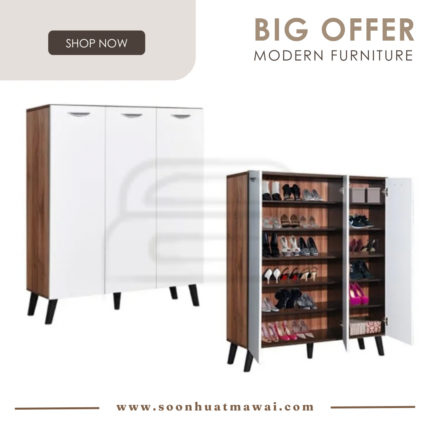 SR-300 SHOES CABINET