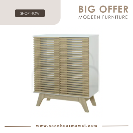 SC-3935 SHOE CABINET
