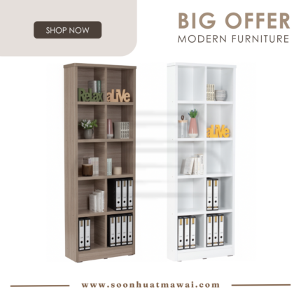 HAVIR FILE CABINET 10 COMPARTMENT