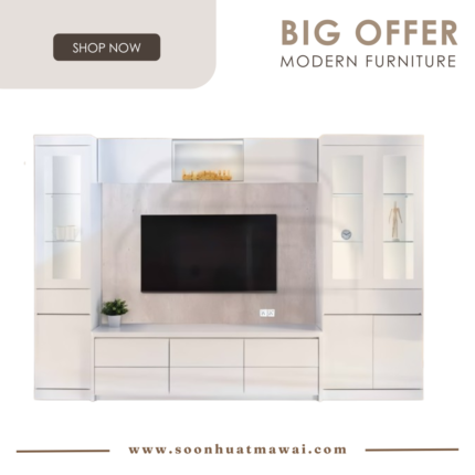 CT1049D, CT1059D, CT1039 MULTI CABINET