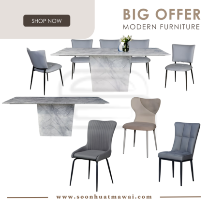 TC10 DINING SET 1+8