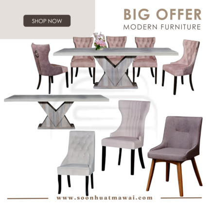 SM16 DINING SET 1+8