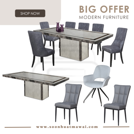 TC21 DINING SET 1+8