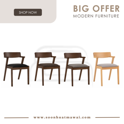 ZOLA DINING CHAIR
