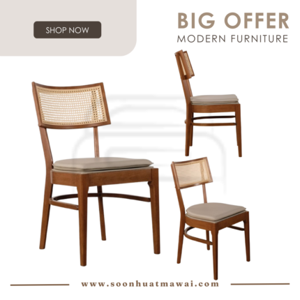 ZOYA RT 991-CHR DINNING CHAIR (MODA)