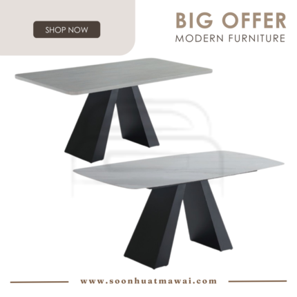 IVANO + 9018 (1060-1) / (9114 MATT) DINING TABLE