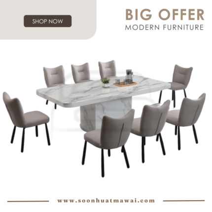 1020 T&L + 249 ZQ DINING SET 1+8