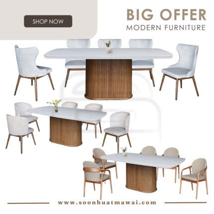 WL212+M2146 + MJ154 / MJ147 / 2582 DINING SET 1+6