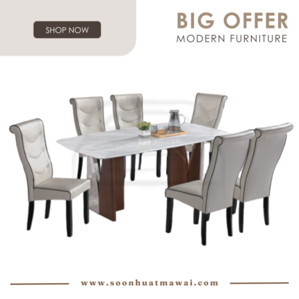 DT718+9016 + H2036 DINING SET 1+6