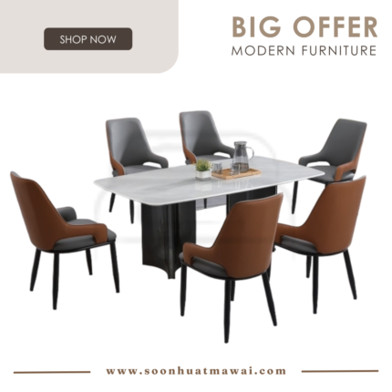 DT-221+9016 + 237 TC DINING SET 1+6