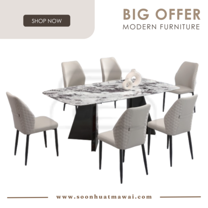 DT270+9016 + 255 ZQ DINING SET 1+6