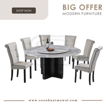DT236+1350 + H3934 DINING SET 1+6