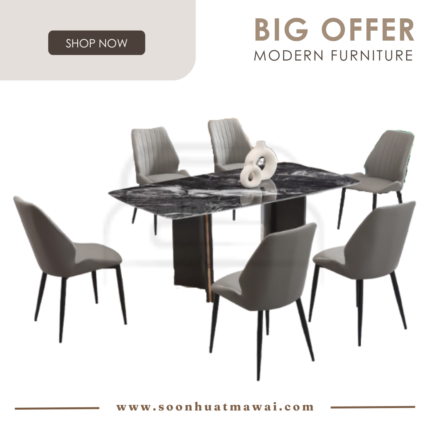 DT-216+8014 + 256 ZQ DINING SET 1+6