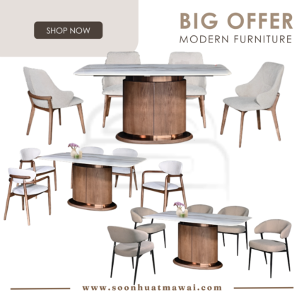 M19+8874 (WOODEN LEG) + Y-2331 / C301 / J-C509 DINING SET 1+6
