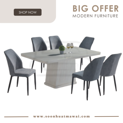 8516 T&L + 263 ZQ DINING SET 1+6