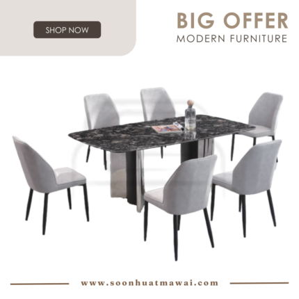 DT713+9016 + 264 ZQ DINING SET 1+6