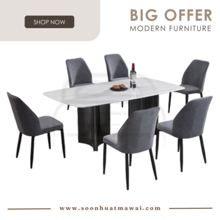 DT-221+9016 + 263 ZQ DINING SET 1+6
