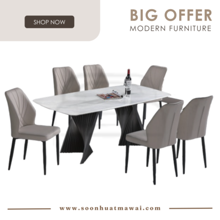 DT-217+9016 + 240 ZQ DINING SET 1+6