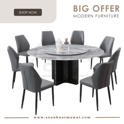 DT236+1500 + 241 ZQ DINING SET 1+8