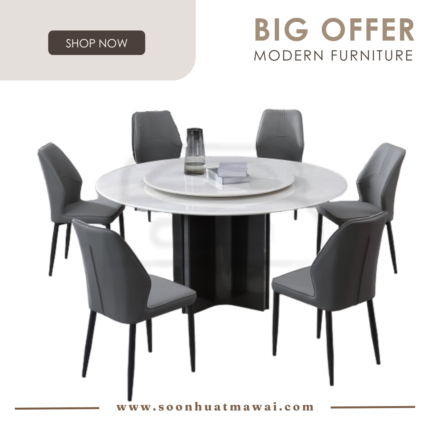 DT236+1350 + 241 ZQ DINING SET 1+6