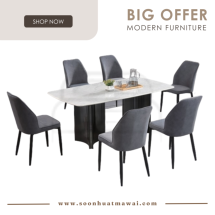 DT-221+8014 + 263 ZQ DINING SET 1+6