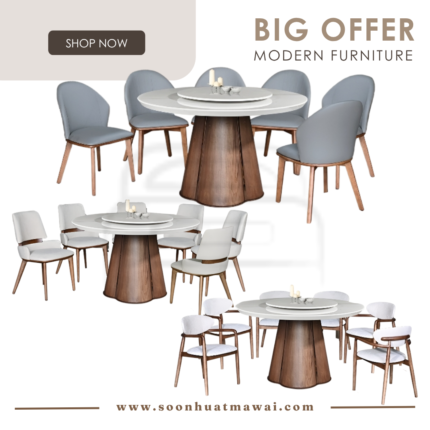 M2139R (WOODEN LEG) + 2509 / C301 / Y-8807 DINING SET 1+6