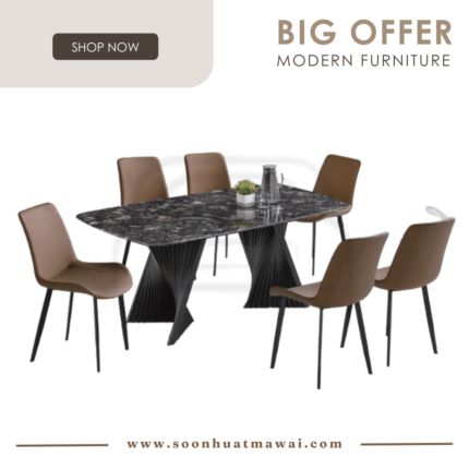 DT-217+9016 + 1993 DINING SET 1+6