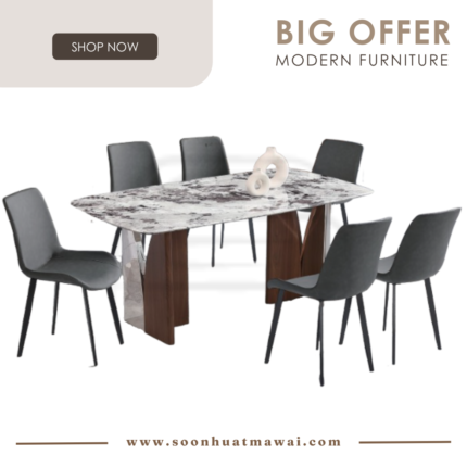 DT718+9016 + 1991 DINING SET 1+6