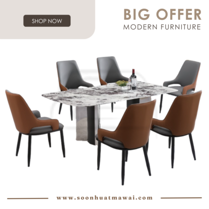 DT713+9016 + 237 TC DINING SET 1+6