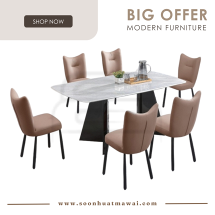 DT270+9016 + 250 ZQ DINING SET 1+6
