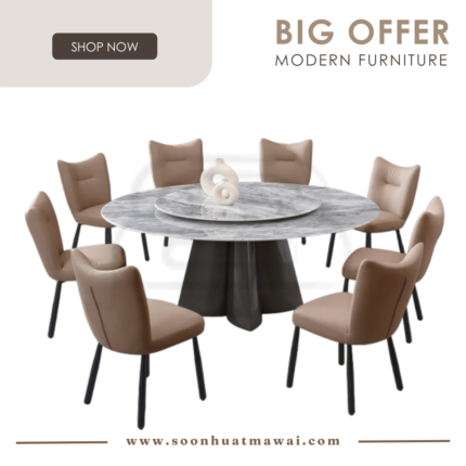 DT237+1500 + 250 ZQ DINING SET 1+8