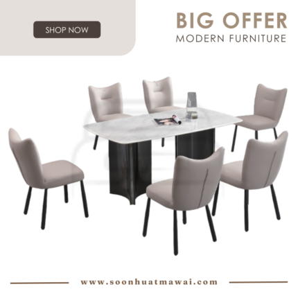 DT-221+8014 + 249 ZQ DINING SET 1+6