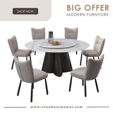 DT237+1350 + 249 ZQ DINING SET 1+6