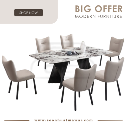 DT-217+9016 + 249 ZQ DINING SET 1+6