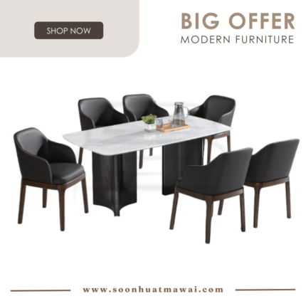 DT-221+9016 + DC770 BROWN DINING SET 1+6