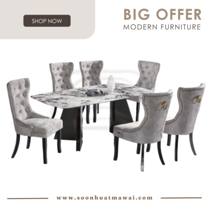 DT270+9016 + S81611 DINING SET 1+6