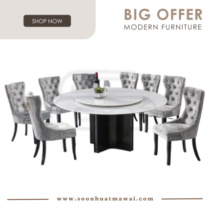 DT236+1500 + S81612 DINING SET 1+8