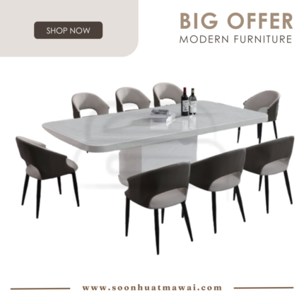 1121 T&L + 245 ZQ DINING SET 1+8