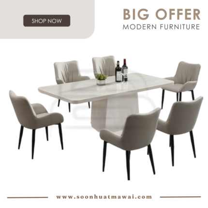 8516 T&L + 248 ZQ DINING SET 1+6