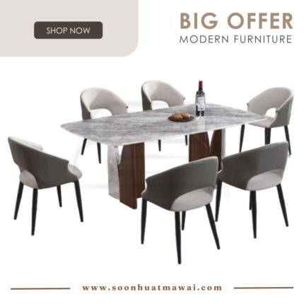 DT718+9016 + 245 ZQ DINING SET 1+6