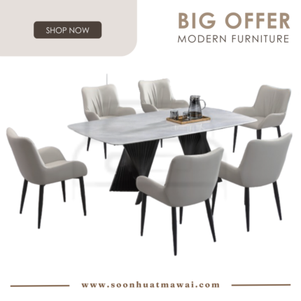 DT-217+9016 + 248 ZQ DINING SET 1+6