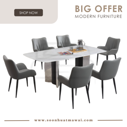 DT713+9016 + 247 ZQ DINING SET 1+6